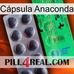 Cápsula Anaconda new04